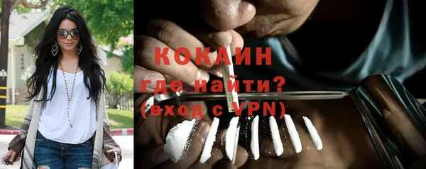 сатива Козловка