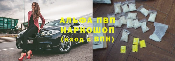 молекула духа Козельск