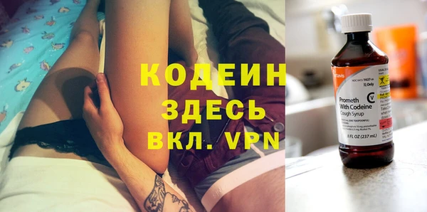 сатива Козловка