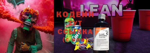 индика Ладушкин