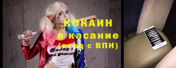 сатива Козловка
