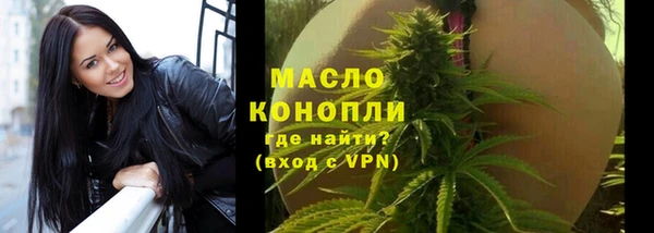 сатива Козловка