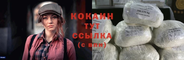молекула духа Козельск