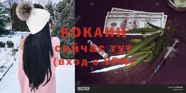 сатива Козловка