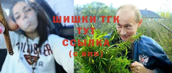 молекула духа Козельск