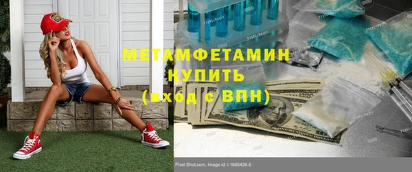 сатива Козловка