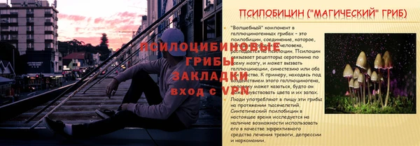 молекула духа Козельск