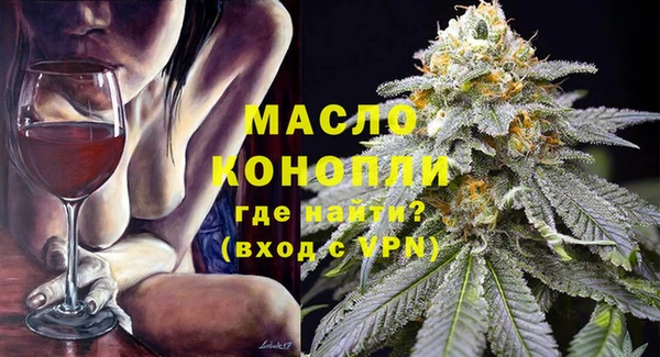 сатива Козловка