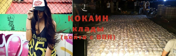 крисы Корсаков