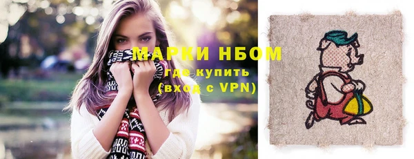 молекула духа Козельск