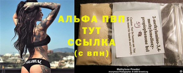 молекула духа Козельск