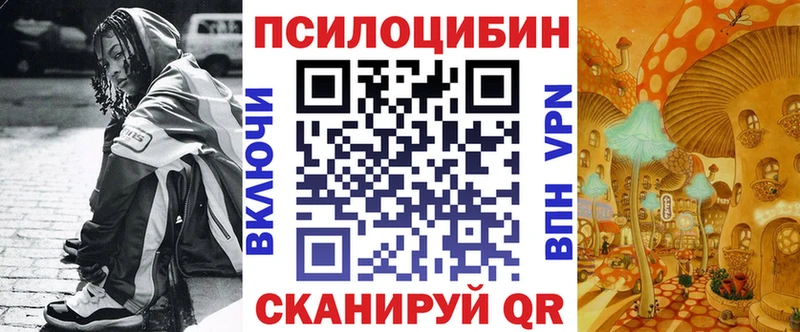 Псилоцибиновые грибы мицелий Купить где Дигора